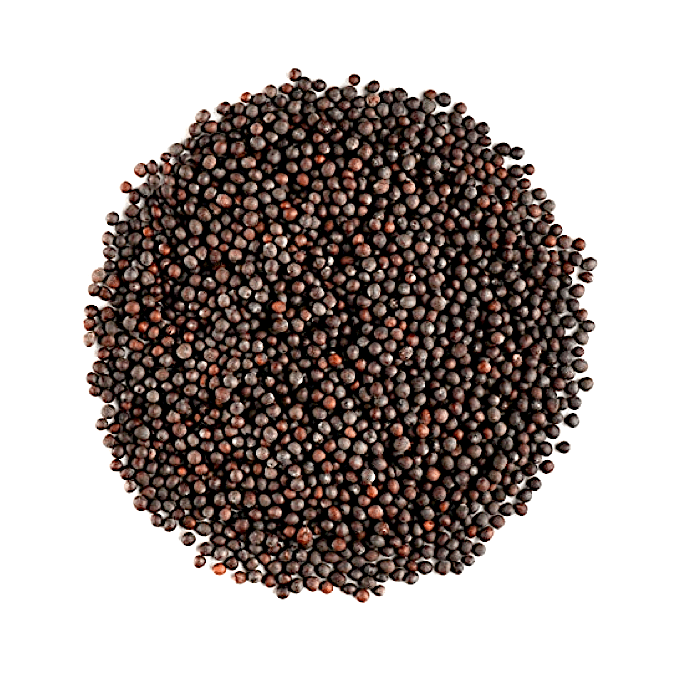 musterd premium quality
